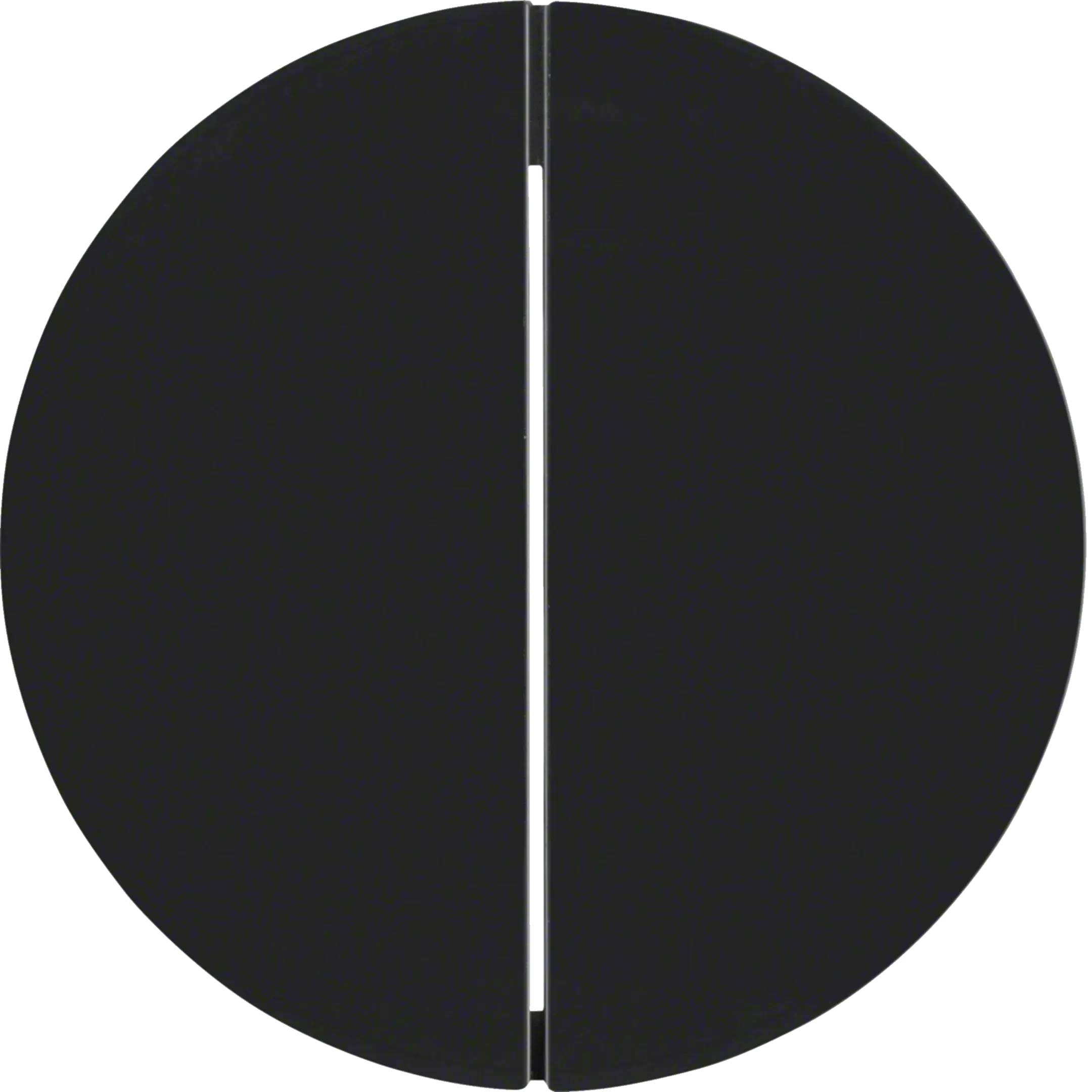 Capac dublu Berker, seria R.1/R.3 negru lucios 16232045