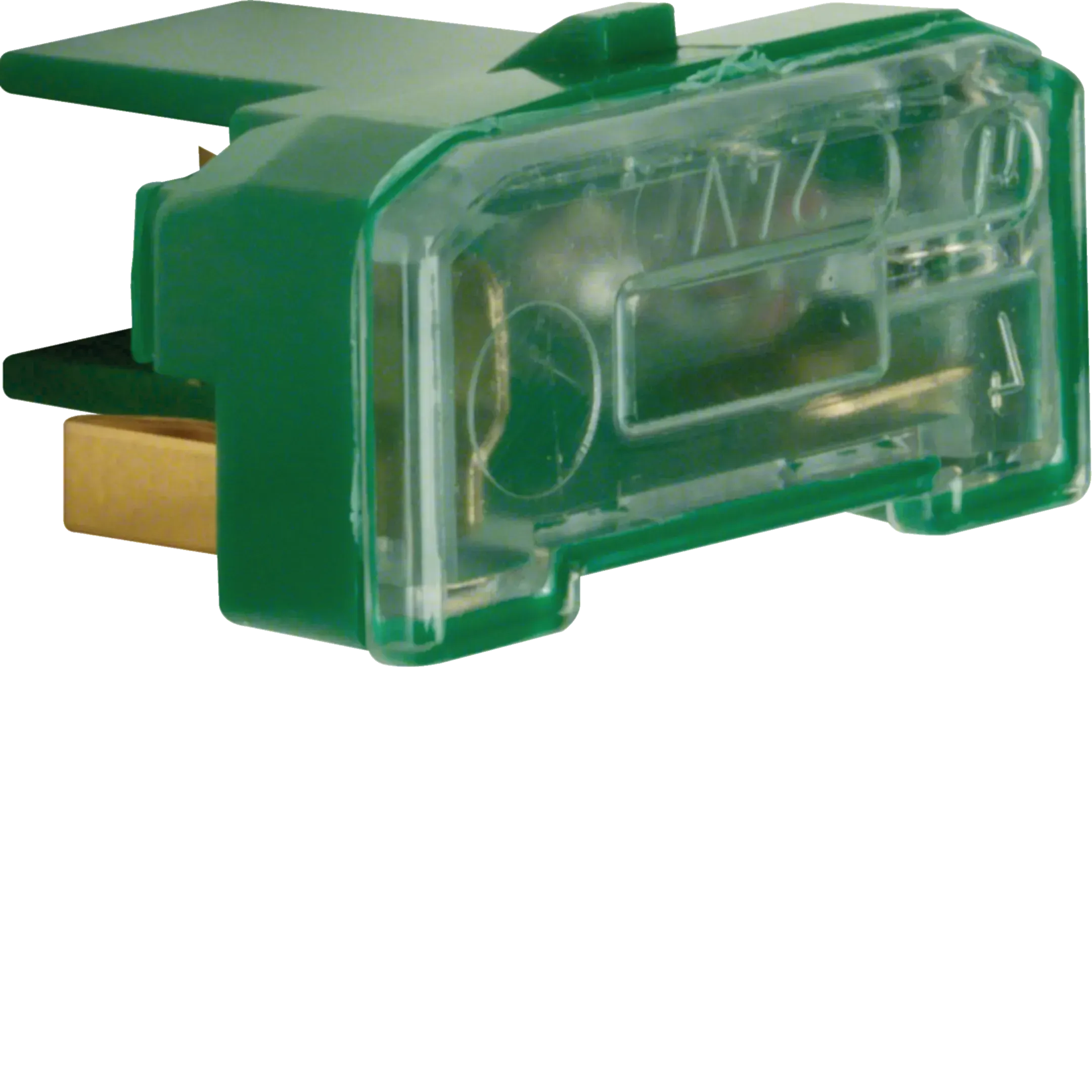 Modul Berker de iluminare cu clema N, verde 167601
