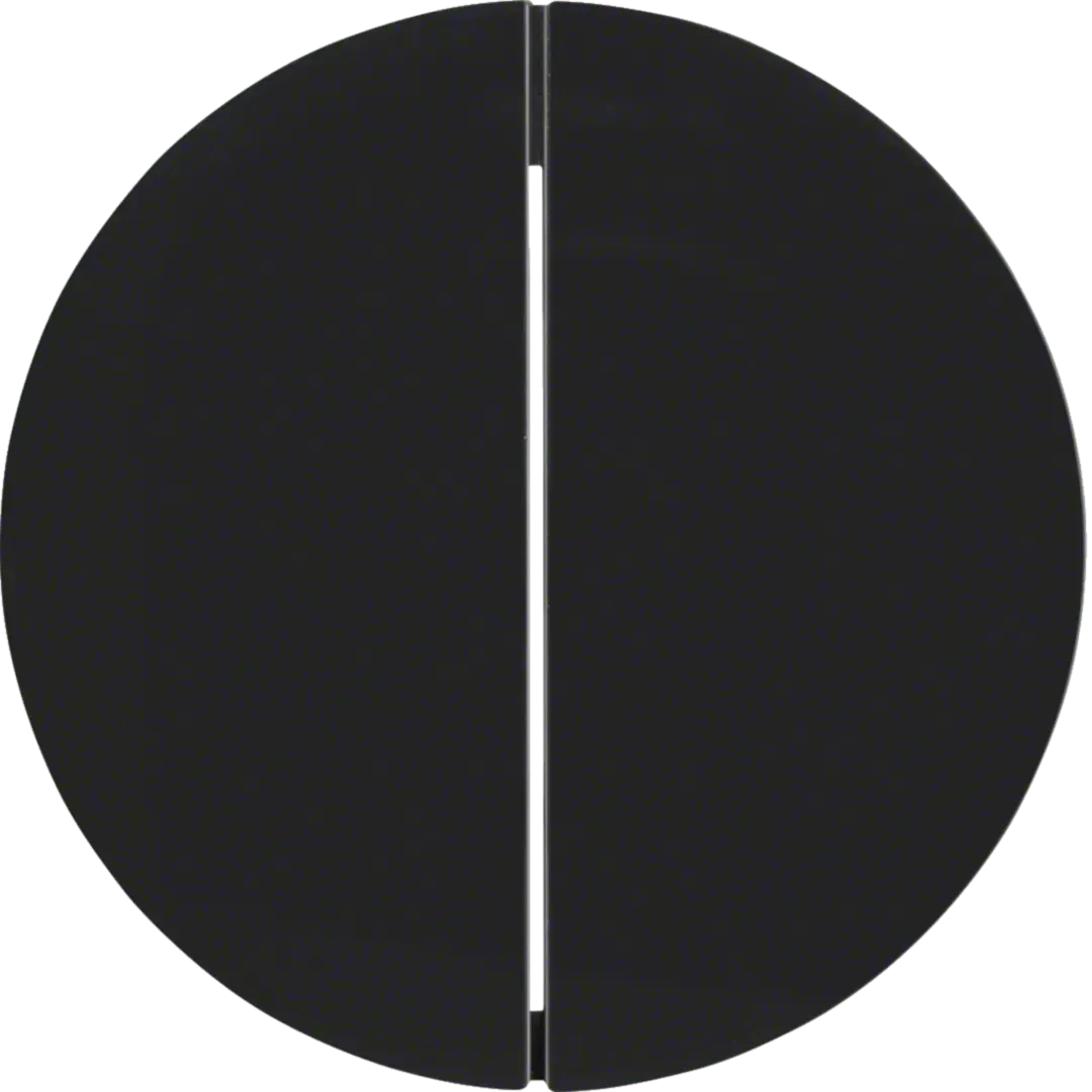 Buton radio KNX cu 2 canale, conexiune rapidă R.1/R.3, negru, lucios.85146131