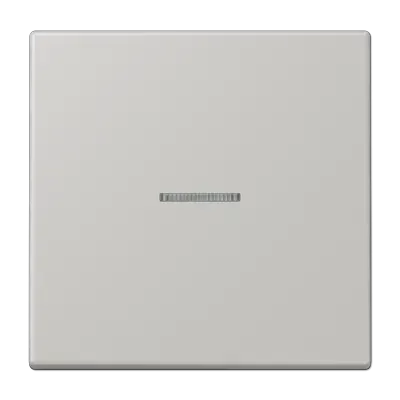 Comutator cu rocker și lentilă pentru buton push unic, din duroplast lacuit, din gama LS, în nuanța gris clair 31 (32013). LC 101 KO5 205