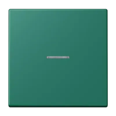 Comutator cu 1 gang cu lentilă pentru buton de apăsare cu 1 gang, lacuit duroplastic, serie LS, verde englezesc (32040). LC 101 KO5 216