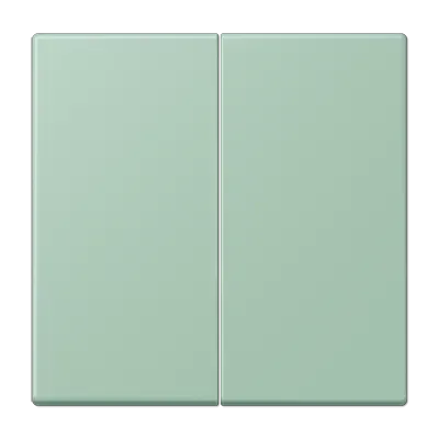 Comutator cu două ganguri pentru buton de apăsare cu două ganguri, lacuit duroplastic, serie LS, verde englezesc (32040). LC 102 216