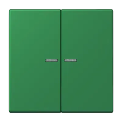 Comutator cu balansier 2 module cu lentilă pentru buton de apăsare 2 module, lacuit din duroplastic, gama LS, verde închis (32050). LC 102 KO5 219