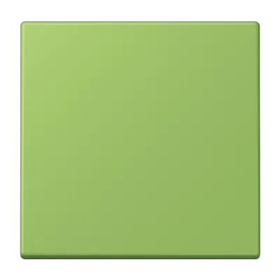 Comutator cu balansier 1 modul pentru buton de apăsare 1 modul, lacuit din duroplastic, gama LS, verde 31 (32051). LC 101 220