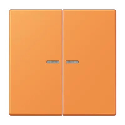 Comutator cu două butoane și lentilă pentru butonul de comutare cu două butoane, lacuit cu duroplastic, din gama LS, culoare verde deschis (Cod 32052). LC 102 KO5 221