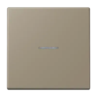 Comutator cu o singură ganglă și lentilă pentru buton de apăsare, lacuit cu duroplastic, din gama LS, culoare naturală de umbră 31 (32140). LC 101 KO5 241