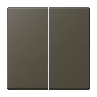 Comutator cu două ganglă pentru buton de apăsare, două ganguri, lacuit cu duroplastic, din gama LS, culoare naturală de umbră 31 (32140). LC 102 241