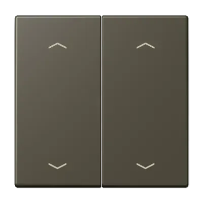 Comutator cu două ganglă, cu simboluri de săgeată pentru buton de apăsare, două ganguri, lacuit cu duroplastic, din gama LS, culoare naturală de umbră 31 (32140). LC 102 P 241