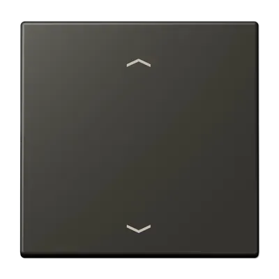 Comutator cu un singur gang, cu simboluri de săgeată pentru buton de apăsare unic, vopsit cu lac duroplastic, gamă LS, culoare noir d'ivoire (4320E) . LC 101P 248