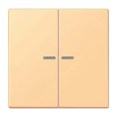 Comutator cu două ganguri și lentilă pentru buton de apăsare dublu, vopsit cu lac duroplastic, gamă LS, culoare gris clair 59 (4320O). LC 102 KO5 257