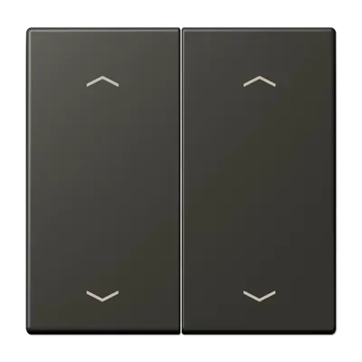Comutator cu două ganguri, cu simboluri de săgeată pentru buton de apăsare dublu, vopsit cu lac duroplastic, gamă LS, culoare ombre naturelle 59 (4320R). LC 102 P 259
