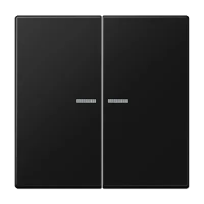 Buton KNX RF cu 2 canale, durplastic lăcuit, gama LS, alb mat (zăpadă). LS 1092 1ST RF WWM