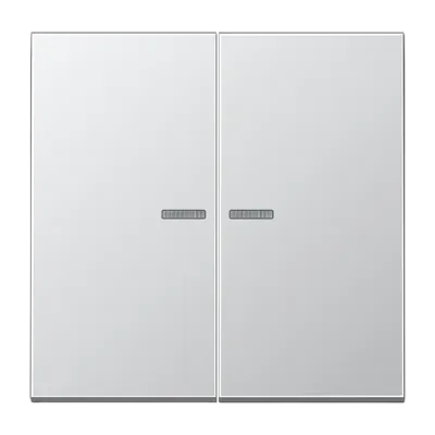 Buton KNX RF cu 2 canale, aluminiu AlMg1, gama LS, culoare aluminiu. AL 1092 1ST RF