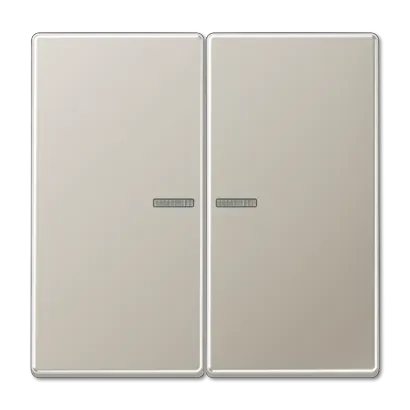Buton KNX RF cu 2 canale, oțel inoxidabil 1.4303 X4 CrNi 18-12, gama LS, oțel inoxidabil. ES 1092 1ST RF