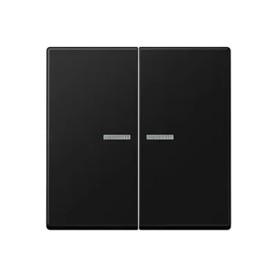  Buton de comutare KNX RF 2 gang, din termoplast lacuit, serie A, alb mat zăpadă. A 1092 1ST RF BF WWM