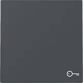 Capac intrerupator Gira cu simbol, antracit. 328728