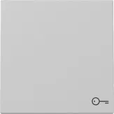 Capac intrerupator Gira cu simbol, gri mat. 3287015