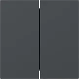 Capac intrerupator Gira duble, antracit. 349528