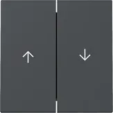 Capac intrerupator Gira duble, antracit. 329428