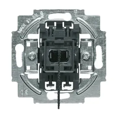Buton tragator - buton 1 pol cu 1 contact NO 10 A Busch-Jaeger. 2020/01 US-101