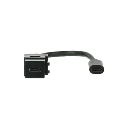 Cablu tip "peitsche" USB Keystone, conector USB cu USB C, negru Busch-Jaeger. 0229/13