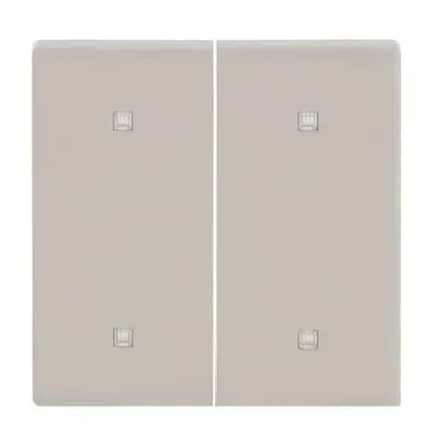 Capac intrerupator Busch-Jaeger dublu, alb fildes ,  platforma 63.  2570-20-82