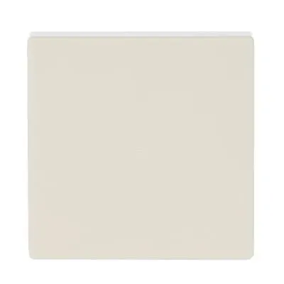 Capac intrerupator simplu Busch-Jaeger  fara imprimare, antracit,  platforma 63.  6230-10-81