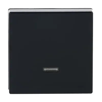 Capac intrerupator Busch-Jaeger cu buton simplu,  antracit, platforma 63.  6543-81-101