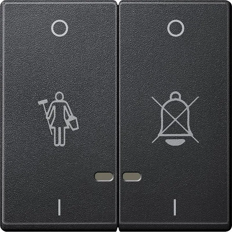 Capac dublu intrerupator Merten System M cu simbol rectangular antracit