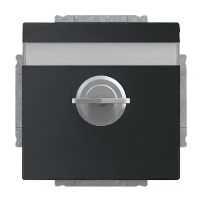  Priza SCHUKO Busch-Jaeger future linear Safety+ cu capac rabatabil alb studio, platforma 63.  20 EUKBR-84