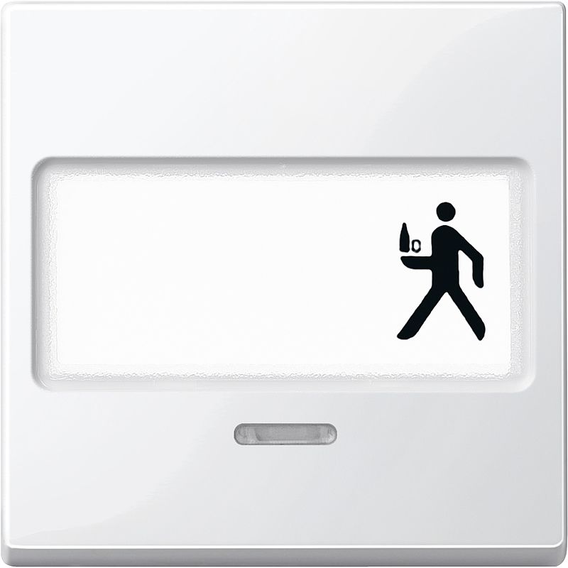 Capac intrerupator Merten System M cu simbol