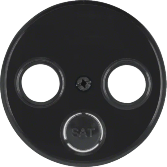 Multimedia Berker R1