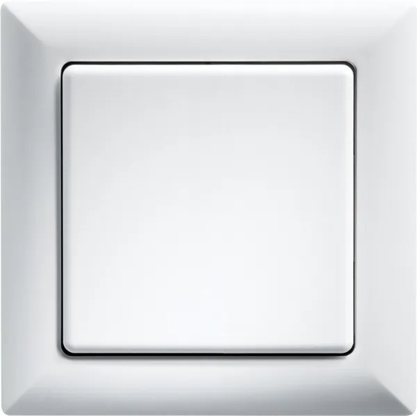 Buton basculant WT55-rw