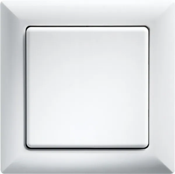 Întrerupător basculant WS55-wg