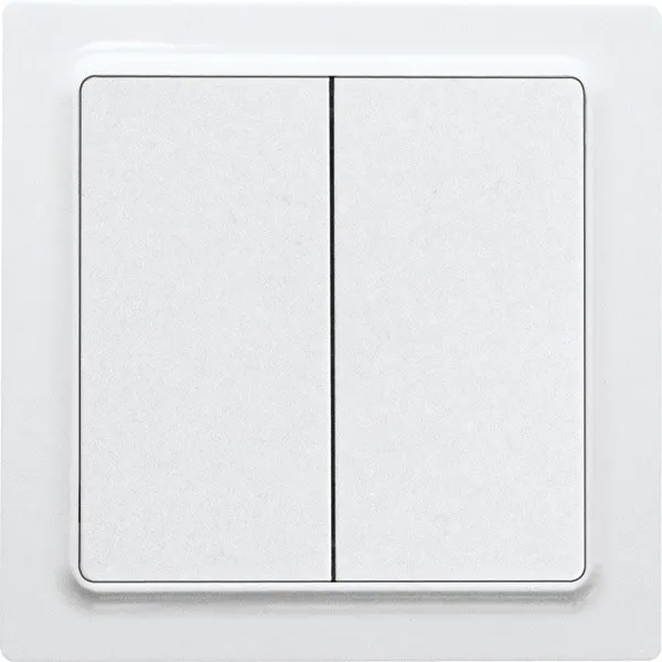 Buton basculant cu dublu basculant în design E-Design55 W2T55E-wg