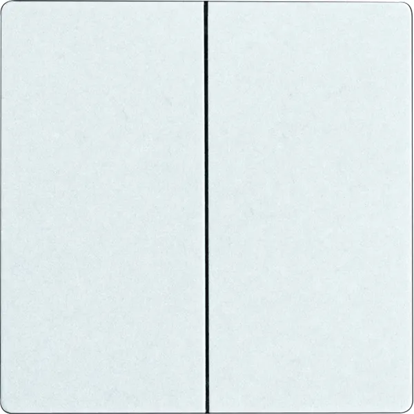Buton radio 4-Canale Bluetooth 55 x 55 mm, alb polar lucios F4T55EBT-pg