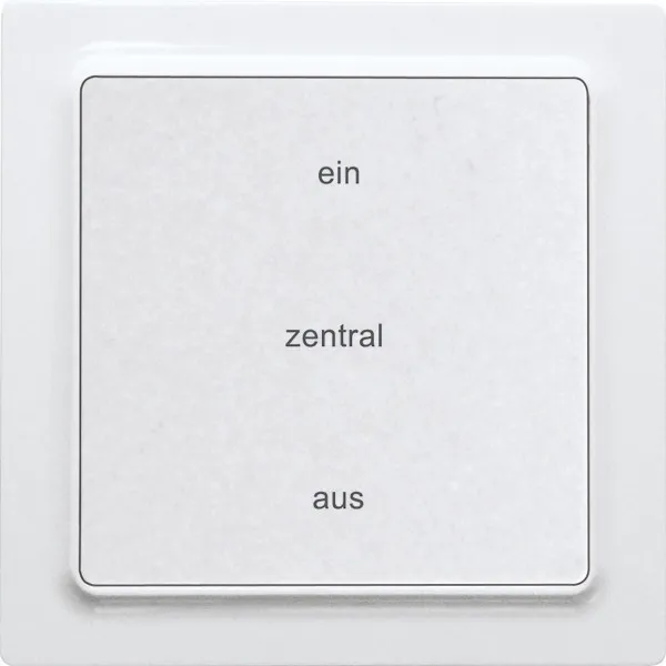 Telecomandă centrală wireless 2-canal în design E-Design55 F2ZT55E-pm
