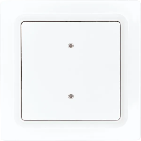 Buton bus 2 sau 4 canale în design E-Design55, alb polar mat B4T55E-pm