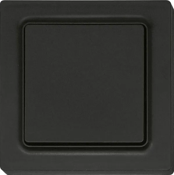 Telecomandă radio 2-canale cu baterie în design E-Design55 F2T55EB-am