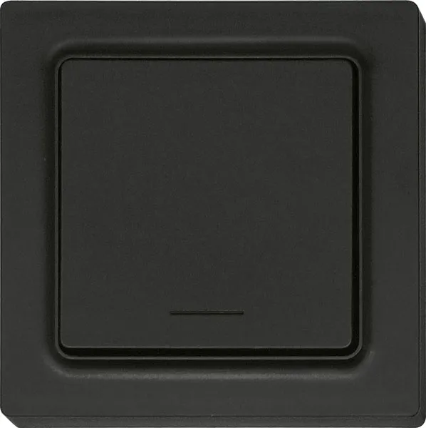 Telecomandă radio 1-canal în design E-Design55 F1T55E-am