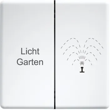 Fliză dublă pentru buton radio design elvețian DW-FT4CH-@
