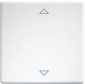 Vipe cu gravură laser pentru Comutatoare și Întrerupătoare design 55 și E-Design55 alb pur W-FT55-rw+2P