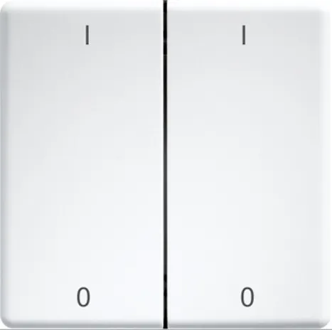 Comutatoare duble cu gravare cu laser pentru butoane și întrerupătoare design 55 și E-Design55 alb pur DW-FT55-rw+IO